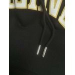 2026年4月1日入荷新作Celineパーカー高級品/SP工場0 1 2 3 4 5