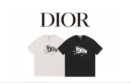 2026年4月14日春夏入荷新作DIOR短袖Tシャツ人気商品...