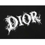 2026年4月14日春夏入荷新作DIOR短袖Tシャツ人気商品/HJJ工場