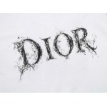 2026年4月14日春夏入荷新作DIOR短袖Tシャツ人気商品/HJJ工場