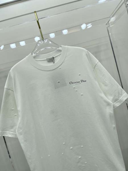 2026年5月13日春夏入荷新作Dior半袖 tシャツ人気商品/FX工場