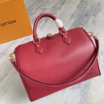 2026年5月11日入荷Louis Vuitton バッグM25766   Speedy Soft 30  Travels With Grace Coddington    Grace Coddington 30*21*17 A.950高品