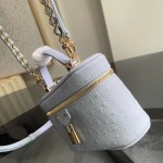 2026年5月11日入荷Louis Vuitton バッグN85806 Vanity Chain Pouch LV size 19x11x.5x6.5cm高品質新作/誕生日プレゼント/XS工場