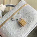 2026年5月11日入荷Louis Vuitton バッグN85806 Vanity Chain Pouch LV size 19x11x.5x6.5cm高品質新作/誕生日プレゼント/XS工場