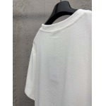 2026年5月13日春夏入荷新作DIOR半袖 tシャツ人気商品/FX工場