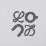 2026年5月13日春夏入荷新作Loewe半袖 tシャツ人気商品/FX工場