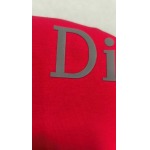 2026年5月13日春夏入荷新作Dior 半袖 tシャツ人気商品/FX工場