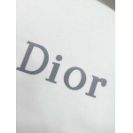 2026年5月13日春夏入荷新作Dior 半袖 tシャツ人気商品/FX工場