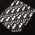 2026年5月13日春夏入荷新作DIOR半袖 tシャツ人気商品/FX工場