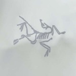 2026年5月15日春夏入荷新作ARCTERYX 半袖 tシャツ人気商品/FX工場