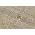 2026年5月19日入荷新作Burberry半袖 ポロ/シャツ人気/誕生日プレゼント/kd工場