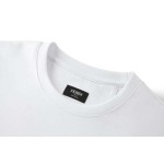 2026年5月22日入荷新作Fendi半袖 tシャツ 原版復刻人気で【极品】/正規品と同じサイズ/YGY工場
