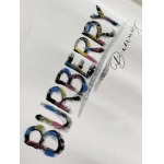 2026年5月28日入荷春夏新作Burberry半袖 tシャツ高品質DH工場