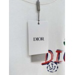 2026年5月28日入荷春夏新作Dior半袖 tシャツ高品質DH工場