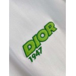 2026年6月2日入荷春夏新作Dior半袖Tシャツ高品質DH工場