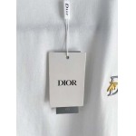 2026年6月2日入荷春夏新作Dior半袖Tシャツ高品質DH工場