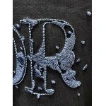 2026年6月11日春夏新作Diortシャツ激安高品質/誕生日プレゼント/FF工場