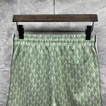 2026年6月22日春夏新作LACOSTE半ズボン高品質人気の商品/YGY工場