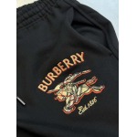 2026年9月6日秋冬新作Burberryズボン高品質人気の商品/YGY工場