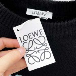 2026年10月20日秋冬Loewe新作厚いセーター高品質 人気商品 /TY工場